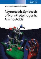 Ashot S. Saghyan, Peter Langer - Asymmetric Synthesis of Non-Proteinogenic Amino Acids, Inbunden