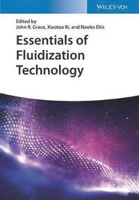 bokomslag Essentials of Fluidization Technology