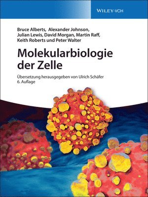 bokomslag Molekularbiologie der Zelle