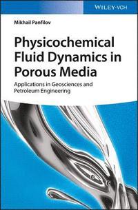 bokomslag Physicochemical Fluid Dynamics in Porous Media