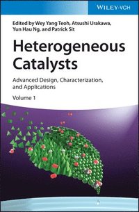 bokomslag Heterogeneous Catalysts