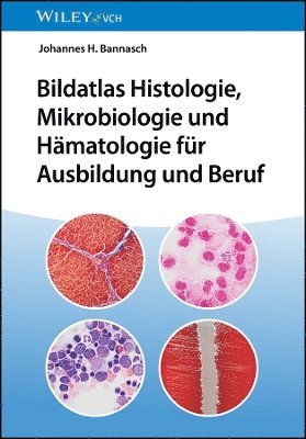 bokomslag Bildatlas Histologie, Mikrobiologie und Hämatologie für Ausbildung und Beruf