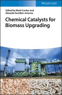 bokomslag Chemical Catalysts for Biomass Upgrading