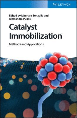 bokomslag Catalyst Immobilization