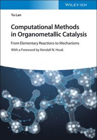 bokomslag Computational Methods in Organometallic Catalysis