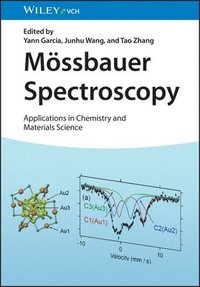 bokomslag Mssbauer Spectroscopy