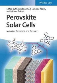 bokomslag Perovskite Solar Cells