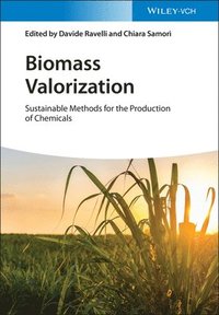 bokomslag Biomass Valorization