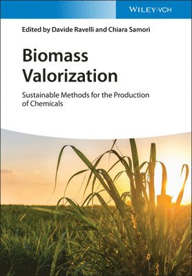 Biomass Valorization 1