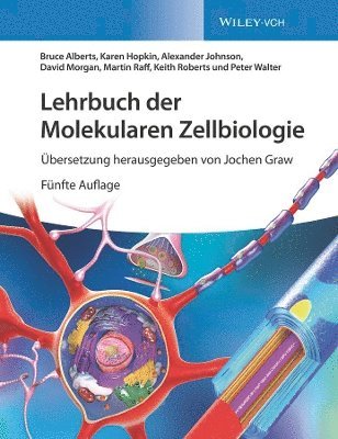Bruce Alberts, Karen Hopkin, Alexander D. Johnson, David Morgan, Martin Raff, Keith Roberts, Peter Walter, Jochen Graw - Lehrbuch der Molekularen Zellbiologie, Häftad