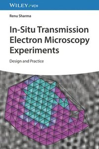 bokomslag In-Situ Transmission Electron Microscopy Experiments