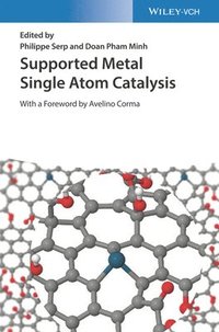 bokomslag Supported Metal Single Atom Catalysis