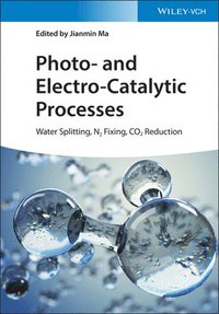 bokomslag Photo- and Electro-Catalytic Processes