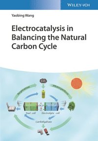 bokomslag Electrocatalysis in Balancing the Natural Carbon Cycle