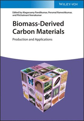 Alagarsamy Pandikumar, Perumal Rameshkumar, Pitchaimani Veerakumar - Biomass-Derived Carbon Materials, Inbunden