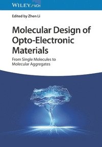 bokomslag Molecular Design of OptoElectronic Materials  From Single Molecules to Molecular Aggregates