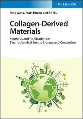 Feng Wang, Yaqin Huang, Jin Niu - Collagen-Derived Materials, Inbunden
