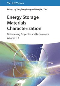 bokomslag Energy Storage Materials Characterization