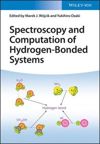 bokomslag Spectroscopy and Computation of Hydrogen-Bonded Systems