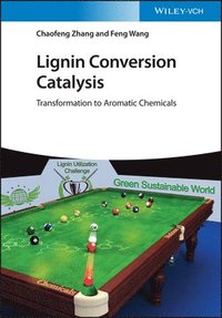 bokomslag Lignin Conversion Catalysis