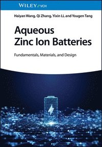 bokomslag Aqueous Zinc Ion Batteries