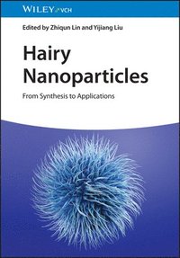 bokomslag Hairy Nanoparticles