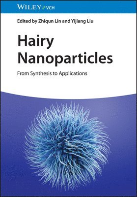 bokomslag Hairy Nanoparticles