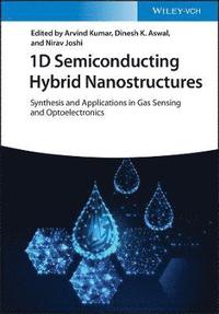 bokomslag 1D Semiconducting Hybrid Nanostructures