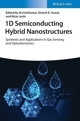 Arvind Kumar, Arvind Kumar, Dinesh K. Aswal, Nirav Joshi - 1D Semiconducting Hybrid Nanostructures, Inbunden