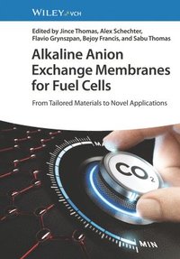 bokomslag Alkaline Anion Exchange Membranes for Fuel Cells