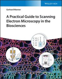bokomslag A Practical Guide to Scanning Electron Microscopy in the Biosciences