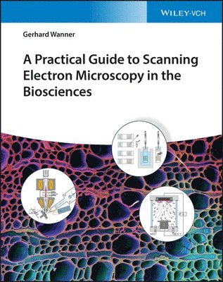 Gerhard Wanner - Practical Guide to Scanning Electron Microscopy in the Biosciences, Inbunden