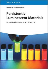 bokomslag Persistently Luminescent Materials