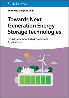 bokomslag Towards Next Generation Energy Storage Technologies