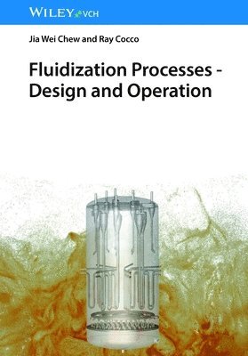 Jia Wei Chew, Ray Cocco - Fluidization Processes, Inbunden