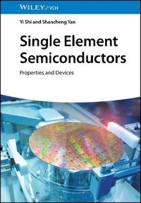 bokomslag Single Element Semiconductors