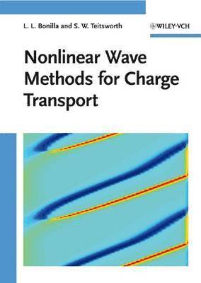 bokomslag Nonlinear Wave Methods for Charge Transport