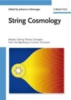 bokomslag String Cosmology