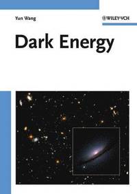 bokomslag Dark Energy