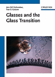 bokomslag Glasses and the Glass Transition