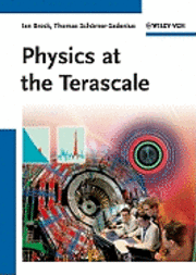bokomslag Physics at the Terascale