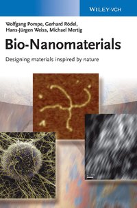 bokomslag Bio-Nanomaterials