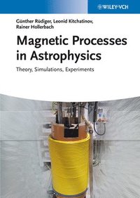 bokomslag Magnetic Processes in Astrophysics