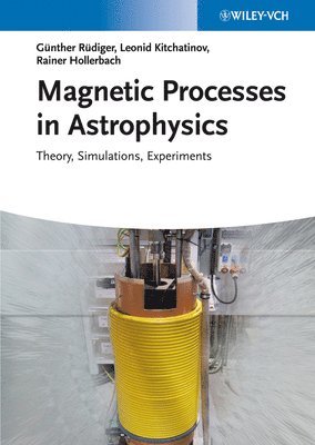 bokomslag Magnetic Processes in Astrophysics