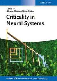 bokomslag Criticality in Neural Systems