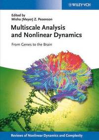 bokomslag Multiscale Analysis and Nonlinear Dynamics