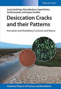 bokomslag Desiccation Cracks and their Patterns