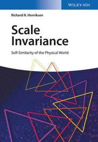bokomslag Scale Invariance