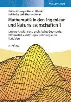 bokomslag Mathematik in den Ingenieur- und Naturwissenschaften 1