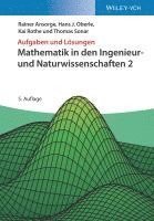 bokomslag Mathematik in den Ingenieur- und Naturwissenschaften 2